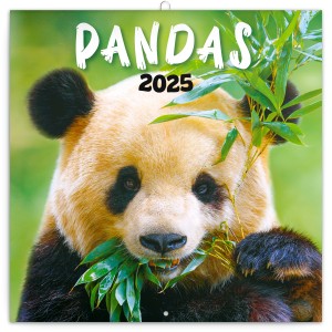 Lemeznaptr Pandas 2024, 30  30 cm (naptr)